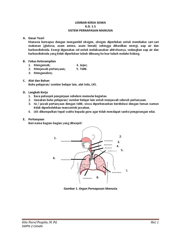 Materi Biologi Kelas 11 Semester 2 Dalchaebi
