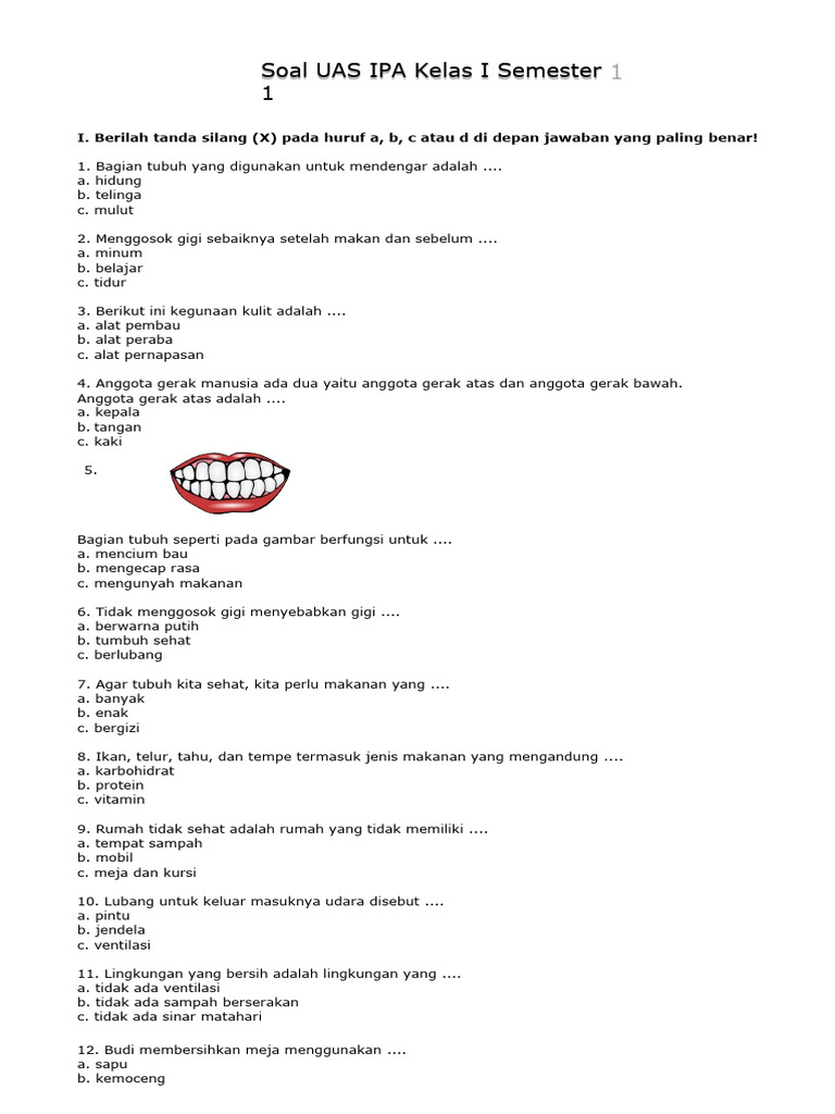 7 Soal IPA Kelas 1 Semester 1 yang Sering Bikin Orang Tua Bingung, Ternyata Ini Kunci Jawabannya