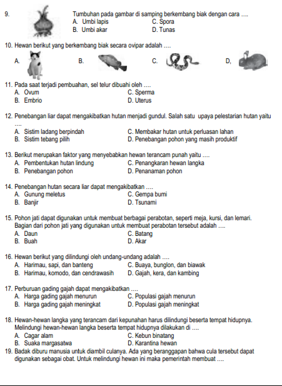 Ini Dia Contoh Soal IPA Kelas 6 Semester 1 yang Sering Muncul di Ujian, Wajib Tahu Sebelum Terlambat!