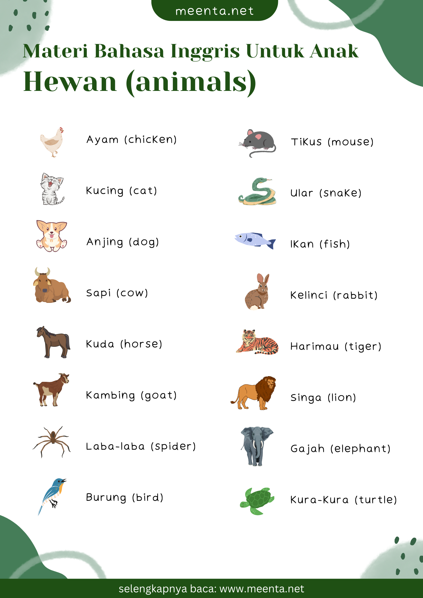Latihan Seru Soal Bahasa Inggris Tentang Hewan Kelas 3 Agar Anak Cepat Pintar